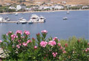 Cristi rooms, Livadi, Serifos